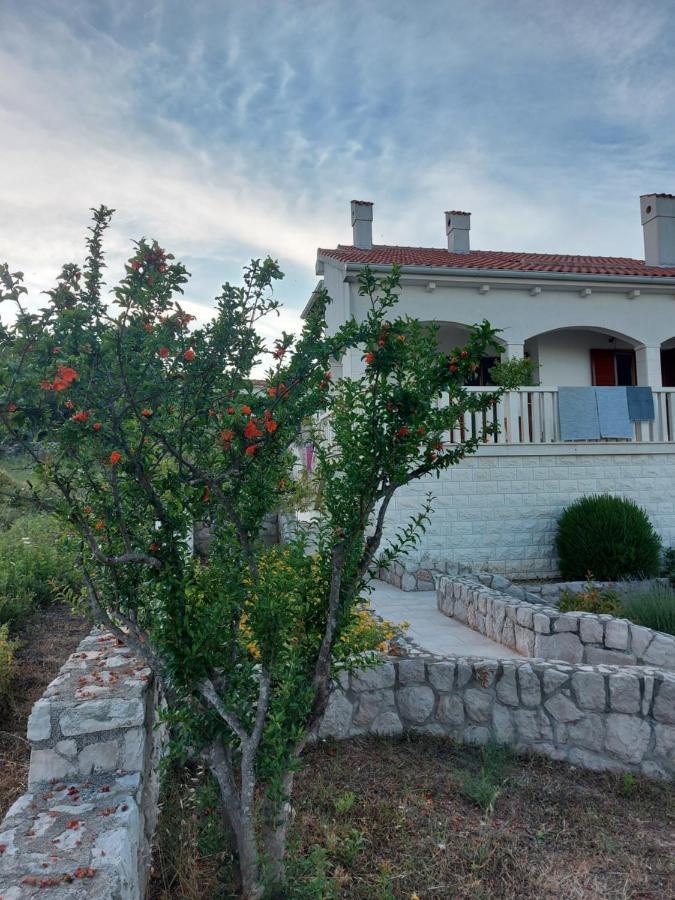 Villa Goga à Ždrelac Extérieur photo